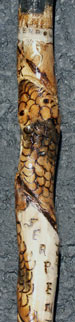 Custom Civil War Walking stick detail closeup Snake