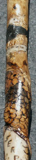 Custom Hand Carved Walking Stick Historic Features - Detail Closeup Snake