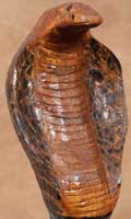 Cobra Walking Stick (View larger picture)